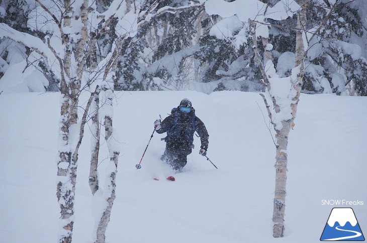 児玉毅×山木匡浩 b.c.map POWDER HUNTING in NISEKO 2018！